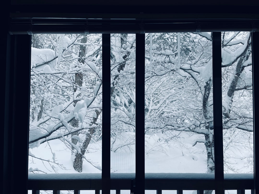 창문 단열필름 비용 — 웃풍 잡는 실제 시공 가격 공개 (겨울철 창문 단열필름 가격)